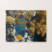 Aquatische puzzels Nautische foto's Marine Fish Pu (Horizontaal)