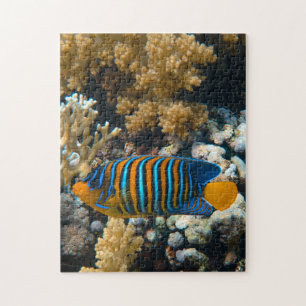 Aquatische puzzels Nautische foto's Marine Fish Pu