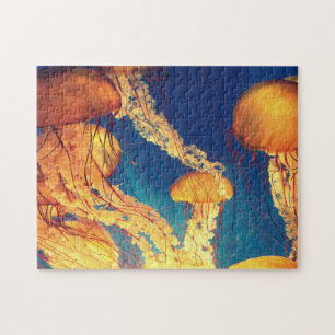 Aquatische puzzels Nautische foto's Marine Fish Pu