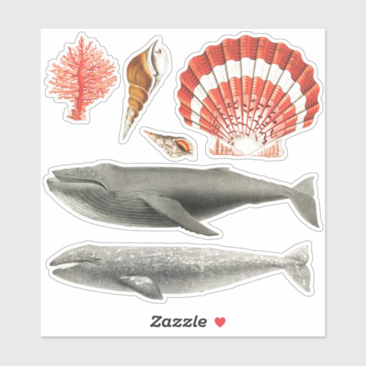 AQUATISCHE STICKER COLLECTIE MET ZITPLAATS (Vel)