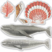 AQUATISCHE STICKER COLLECTIE MET ZITPLAATS (Voorkant)