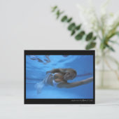 Aquawoman beroemd gemaakt door Barry Kulick Briefkaart (Staand voorkant)