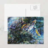 Aqueos Briefkaart (Voorkant / Achterkant)