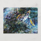 Aqueos Briefkaart (Voorkant)