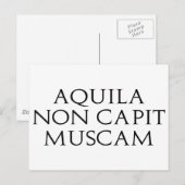 Aquila Non Capit Muscam Briefkaart (Voorkant / Achterkant)