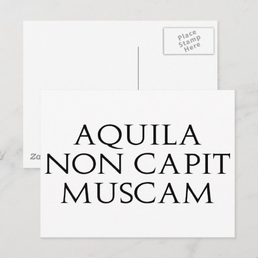 Aquila Non Capit Muscam Briefkaart (Voorkant / Achterkant)