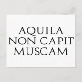 Aquila Non Capit Muscam Briefkaart (Voorkant)
