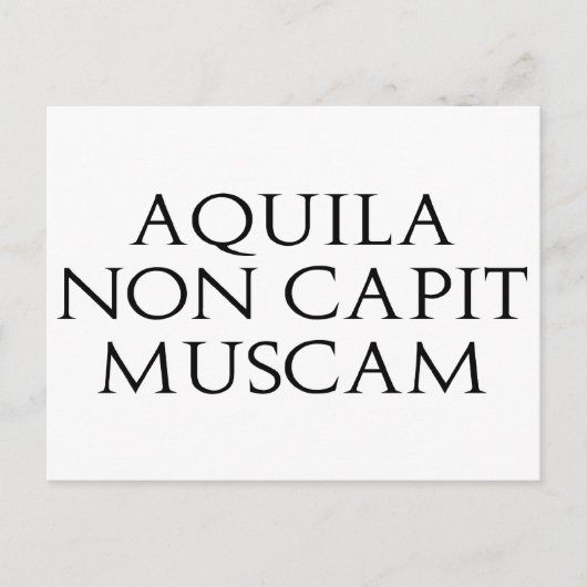 Aquila Non Capit Muscam Briefkaart (Voorkant)