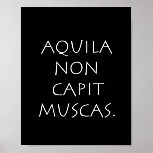 Aquila non-capit muscas poster