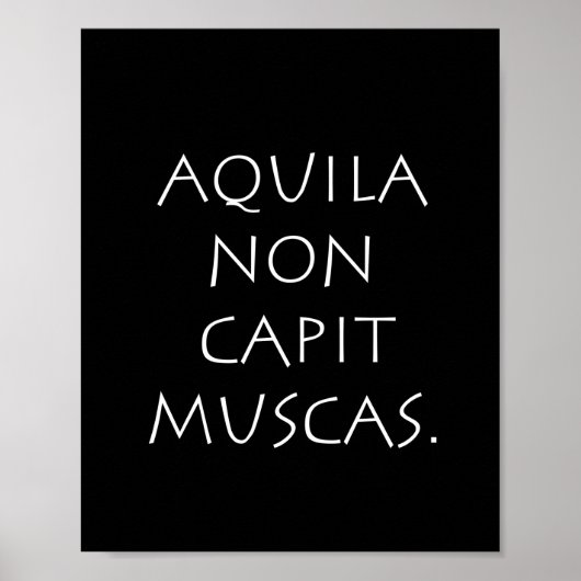 Aquila non-capit muscas poster (Voorkant)