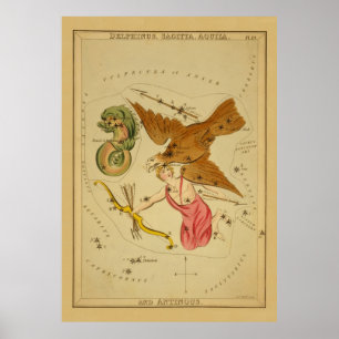 Aquila the Eagle - Astronomisch Star Chart Poster