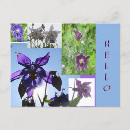 Aquilegia Collage Cust. Hallo Briefkaart Tekst en 