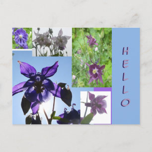 Aquilegia Collage Cust. Hallo Briefkaart Tekst en 