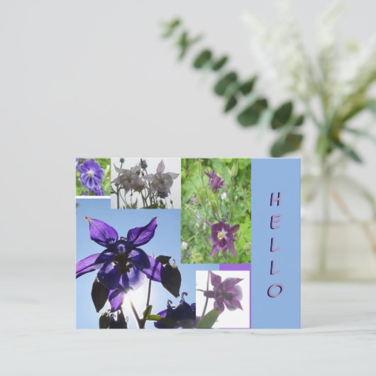 Aquilegia Collage Cust. Hallo Briefkaart Tekst en 