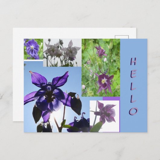 Aquilegia Collage Cust. Hallo Briefkaart Tekst en  (Voorkant / Achterkant)