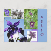 Aquilegia Collage Cust. Hallo Briefkaart Tekst en 