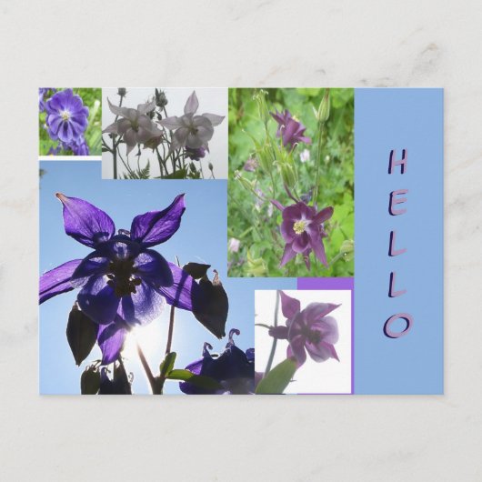 Aquilegia Collage Cust. Hallo Briefkaart Tekst en  (Voorkant)