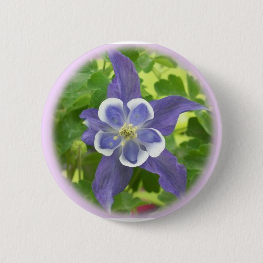 Aquilegia Columbine Flower Button (Voorkant)