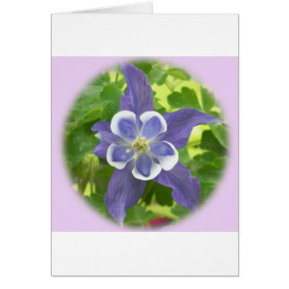 Aquilegia Columbine Flower Card