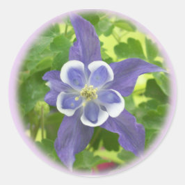 Aquilegia Columbine Flower Round Stickers