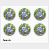Aquilegia Columbine Flower Round Stickers (Vel)