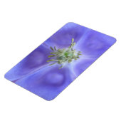 Aquilegia Flower Premium Magnet Magneet (Linkerzijde)