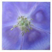 Aquilegia Flower Tile Tegeltje (Voorkant)