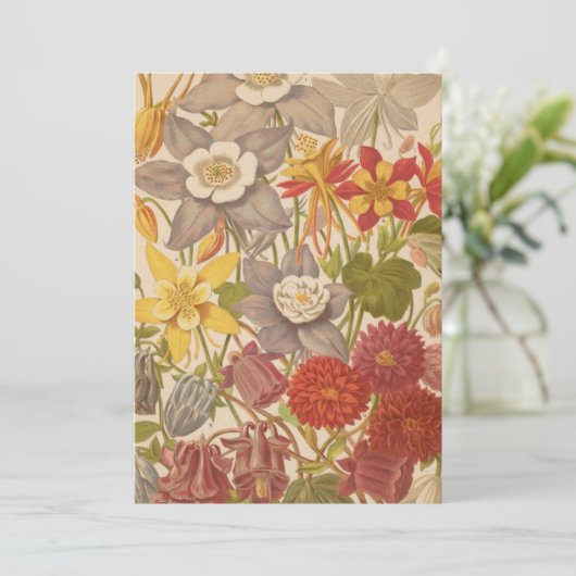 Aquilegia | George Nicholson (Staand voorkant)