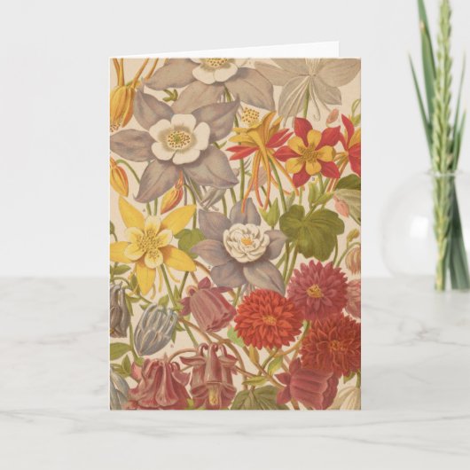 Aquilegia | George Nicholson Kaart (Voorkant)
