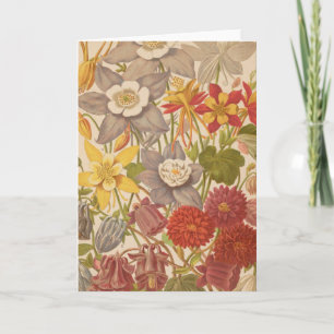 Aquilegia   George Nicholson Kaart