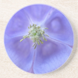 Aquilegia VloerOnderzetters Zandsteen Onderzetter