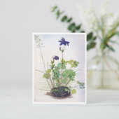 Aquilegia vulgaris Flower, Albrecht Durer Briefkaart (Staand voorkant)