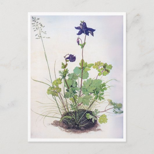 Aquilegia vulgaris Flower, Albrecht Durer Briefkaart (Voorkant)