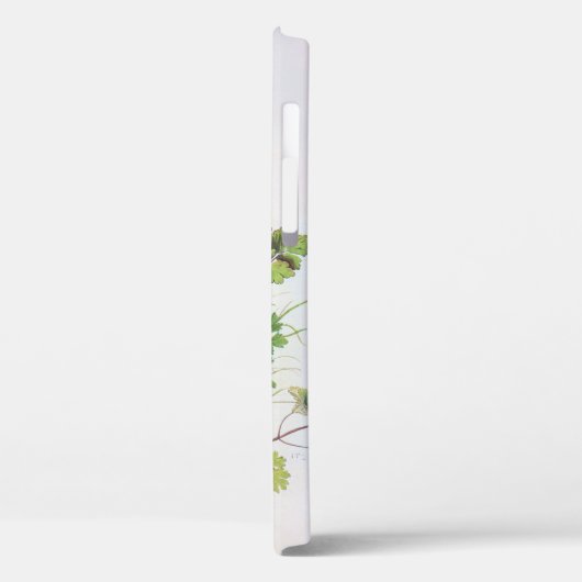 Aquilegia vulgaris Flower, Albrecht Durer Case-Mate iPhone Case (Achterkant / Links)