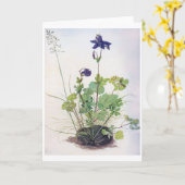 Aquilegia vulgaris Flower, Albrecht Durer Kaart (Gele Bloem)