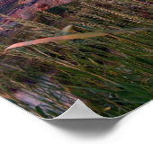 Aquinnah Sunset and Lighthouse Poster (Hoek)