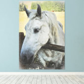 *~* AR22 Wit Paard over Omheining Equine Canvas Afdruk (Insitu (Houten vloer))