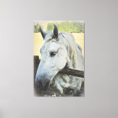 *~* AR22 Wit Paard over Omheining Equine Canvas Afdruk (Voorkant)