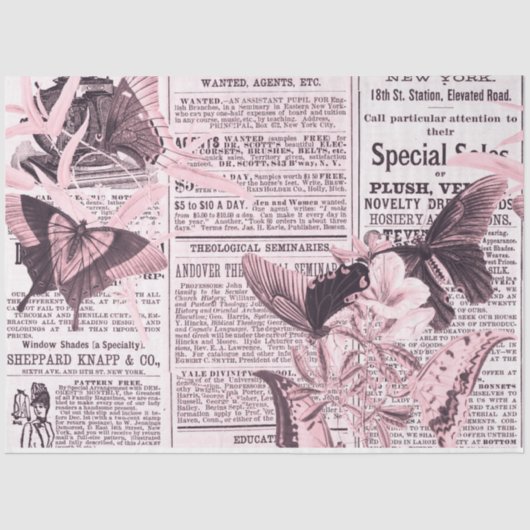 * AR23  ontkoppeling van vlinderbloemigen  Tissuepapier (Voorkant)