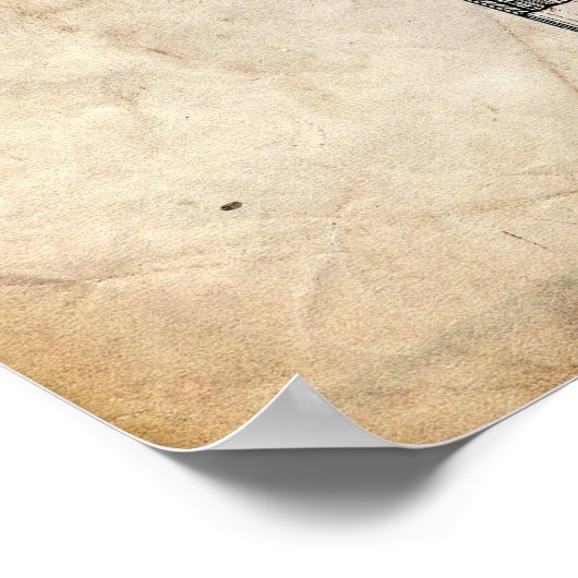 Ar-15 Pistool Pistoloctrooi Poster (Hoek)