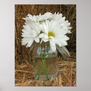 ar of Daisies & Hay Poster