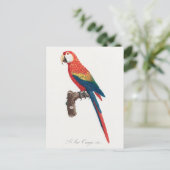 Ara Canga Parrot Briefkaart (Staand voorkant)