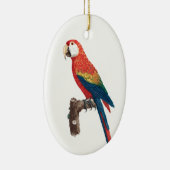 Ara Canga Parrot Keramisch Ornament (Rechts)