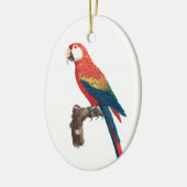 Ara Canga Parrot Keramisch Ornament (Links)