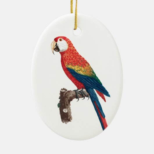 Ara Canga Parrot Keramisch Ornament (Achterkant)