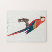 Ara Canga Parrot Legpuzzel (Horizontaal)