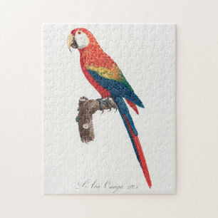 Ara Canga Parrot Legpuzzel