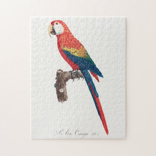Ara Canga Parrot Legpuzzel (Verticaal)
