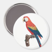 Ara Canga Parrot Magneet (Voorkant / Achterkant)