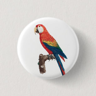 Ara Canga Parrot Ronde Button 3,2 Cm